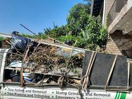 Best Yard Waste Removal  in Fort Dodge, IA